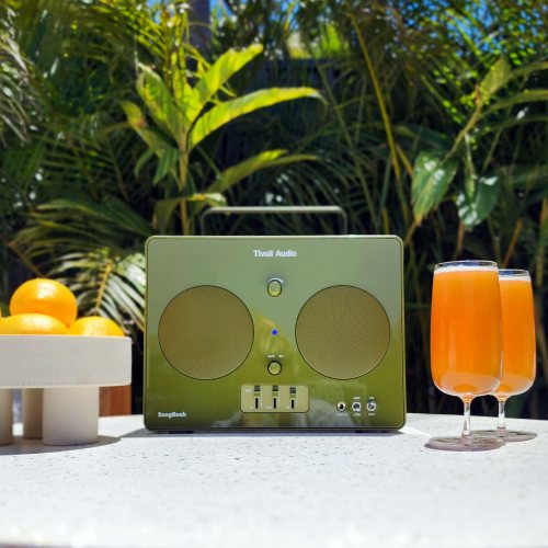 Tivoli Audio SongBook Green Портативная аудиосистема